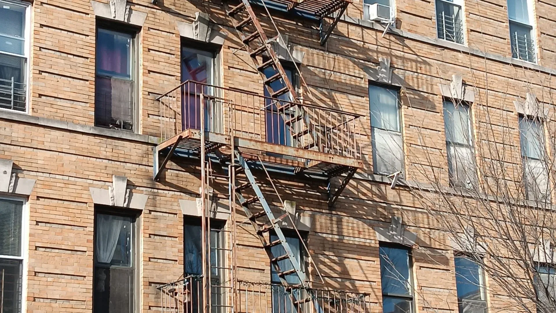 Dummy NYC compliance and maintenance visual